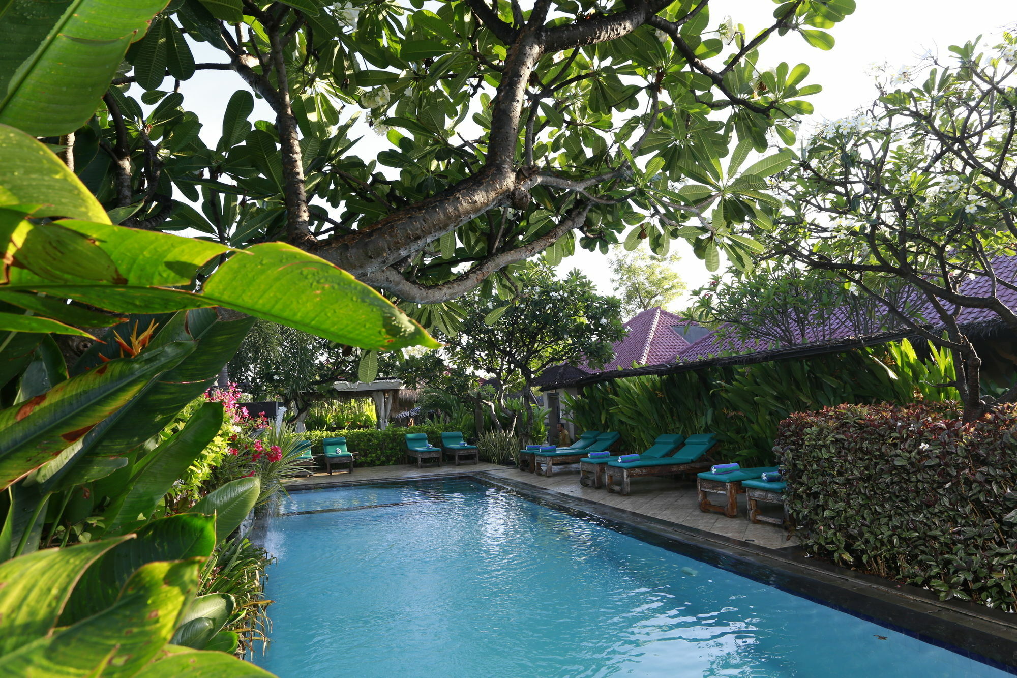 Taruna Boutique Homestay & Spa Pemuteran Esterno foto