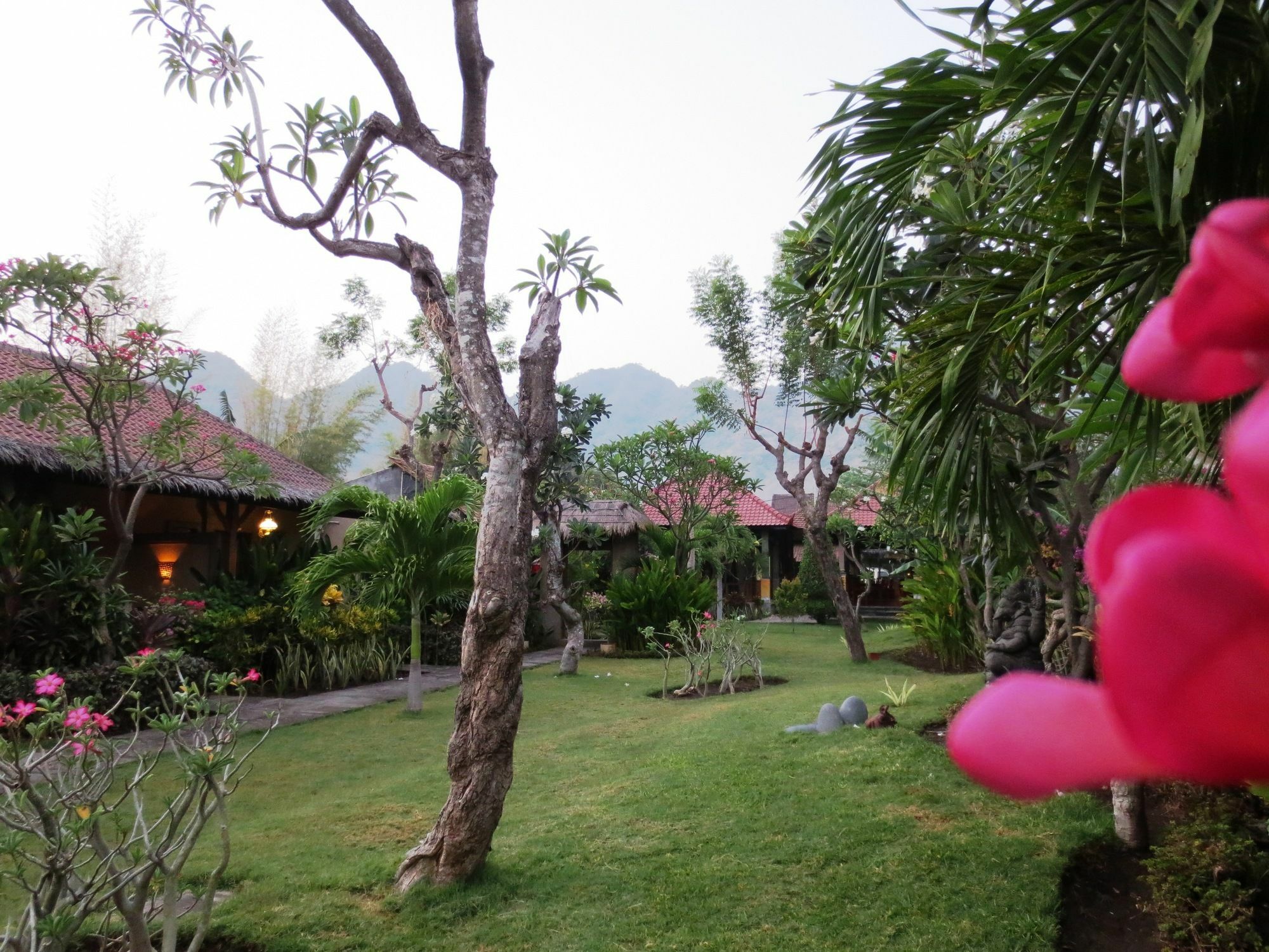 Taruna Boutique Homestay & Spa Pemuteran Esterno foto